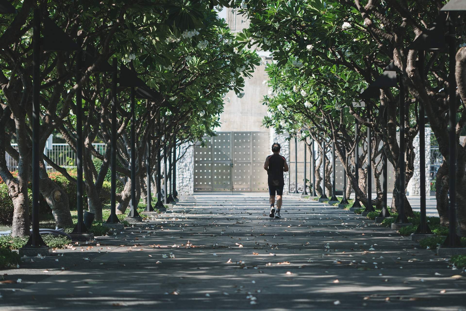 Health, Wellness & Mental Fitness