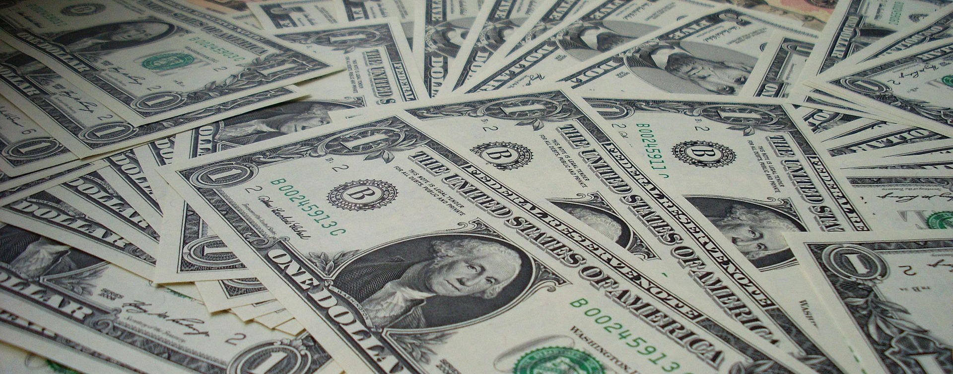 What I Did to Earn $1,000